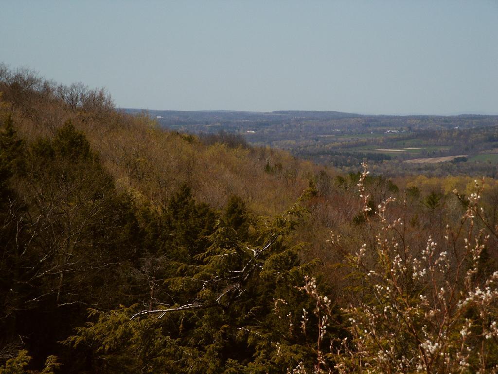 Photo: The Gulf