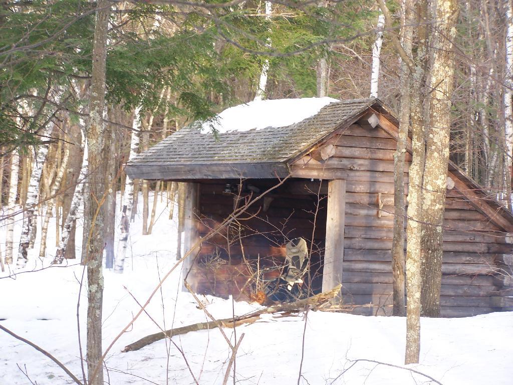 Photo: Cotton Hill Lean To