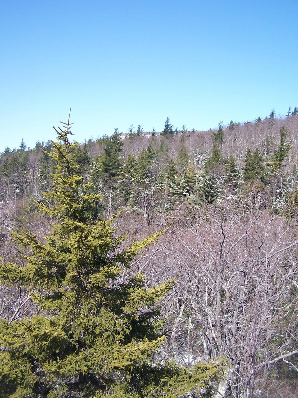 Photo: Ledge to North Mountain