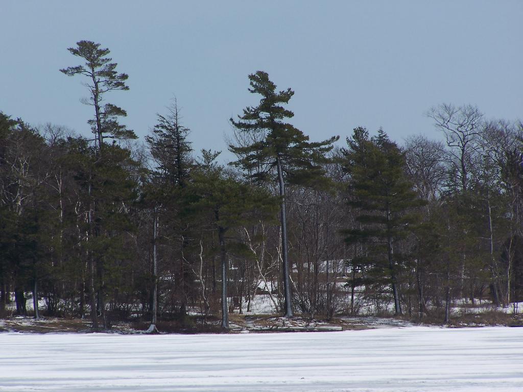 Photo: Across the Lake