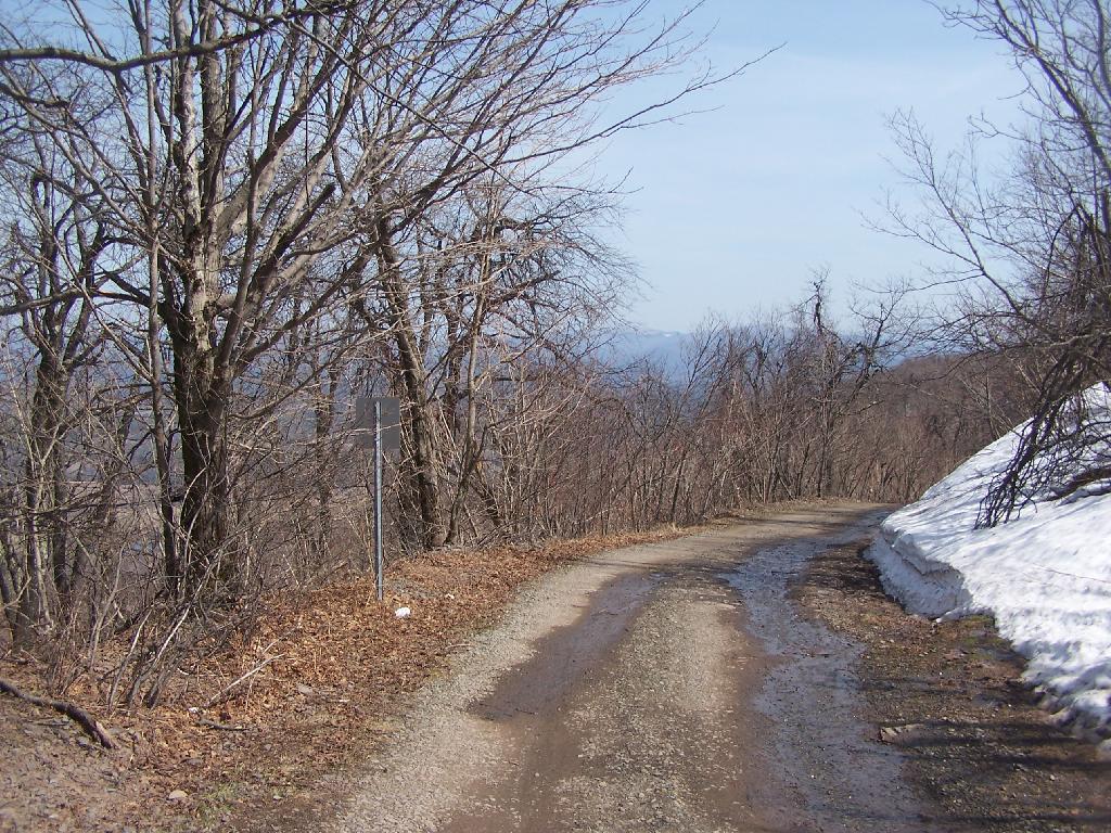 Photo: Tower Road