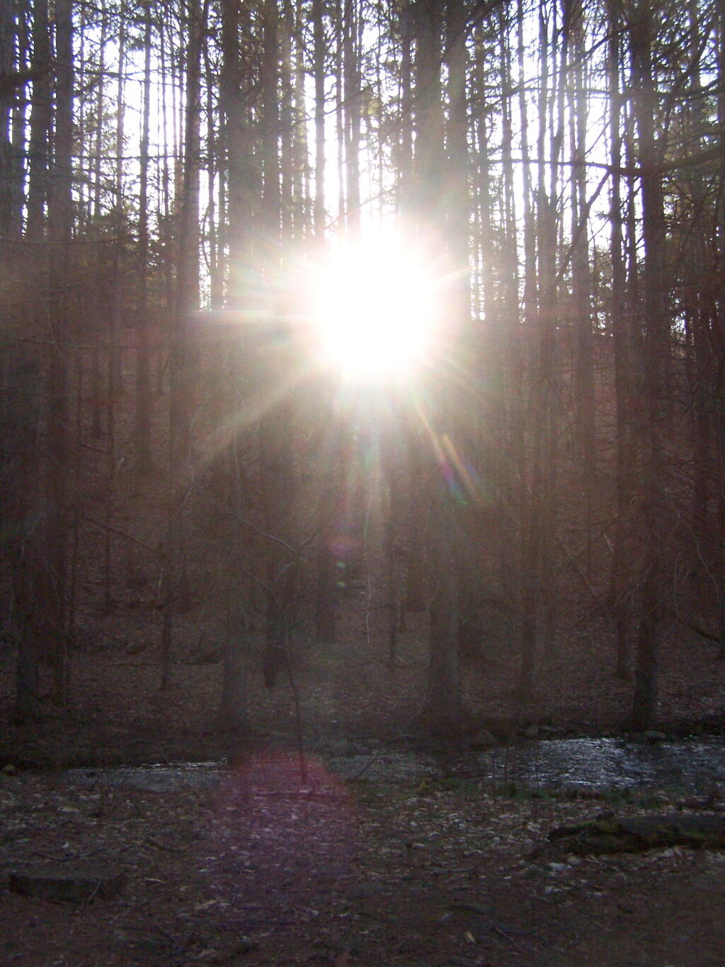 Photo: Sunrise