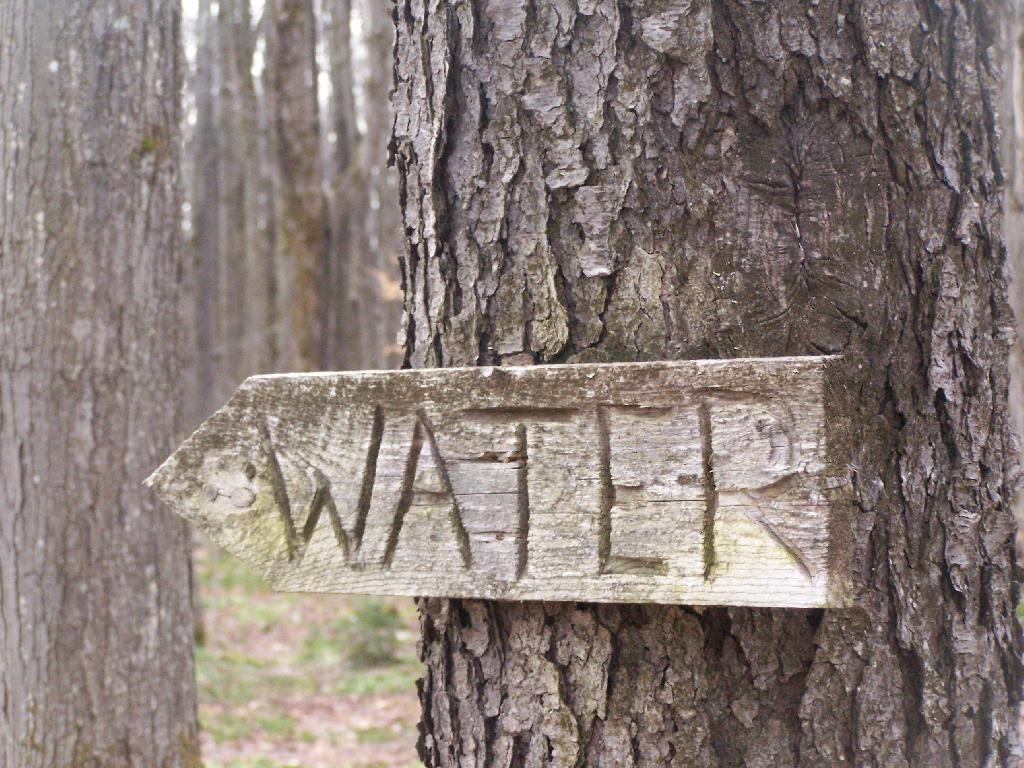 Photo: Water