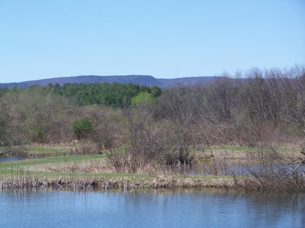 Photo: Research Ponds