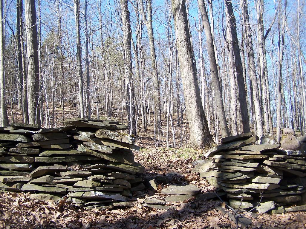 Photo: LP Crosses Stone Wall