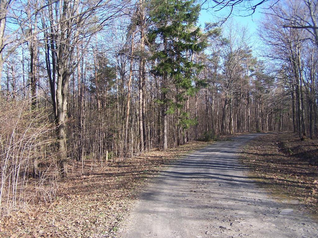 Photo: Pheasant Truck Trail