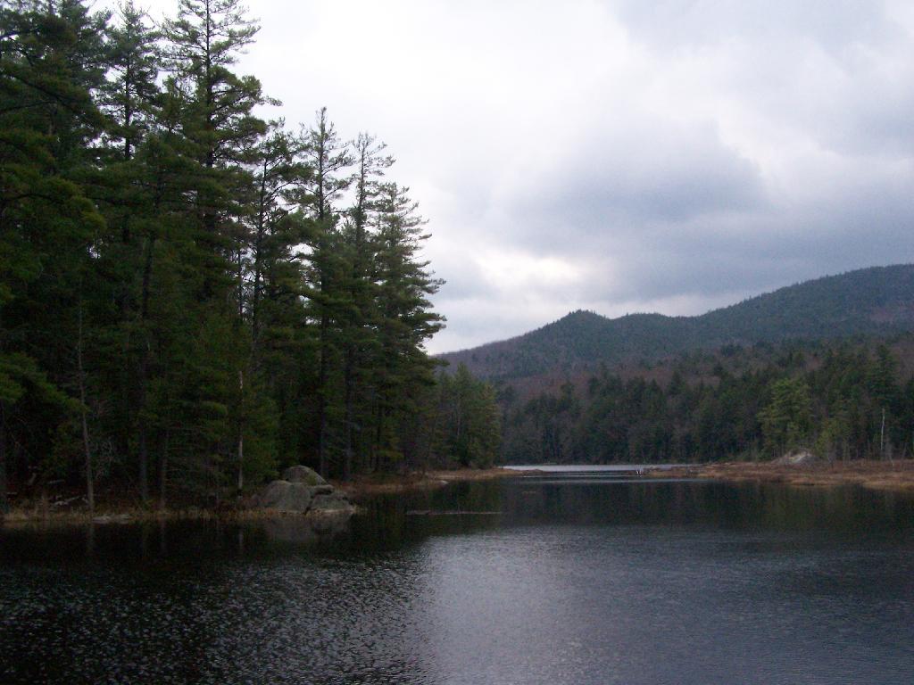 Photo: Stormy at Glidden Swamp