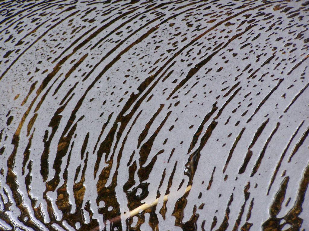 Photo: Suds