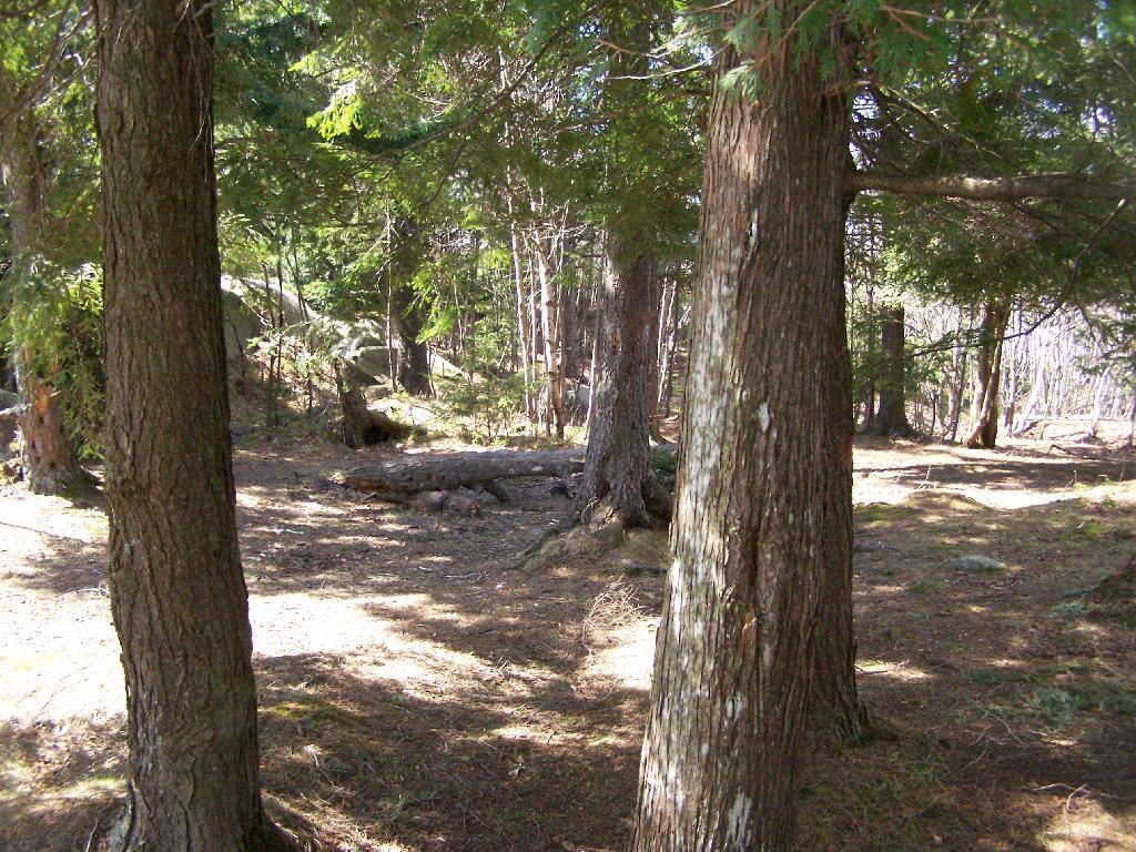 Photo: Primative Campsite on Pharaoah Mountain