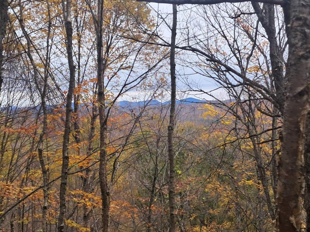 Photo: Views Climbing the Mountain