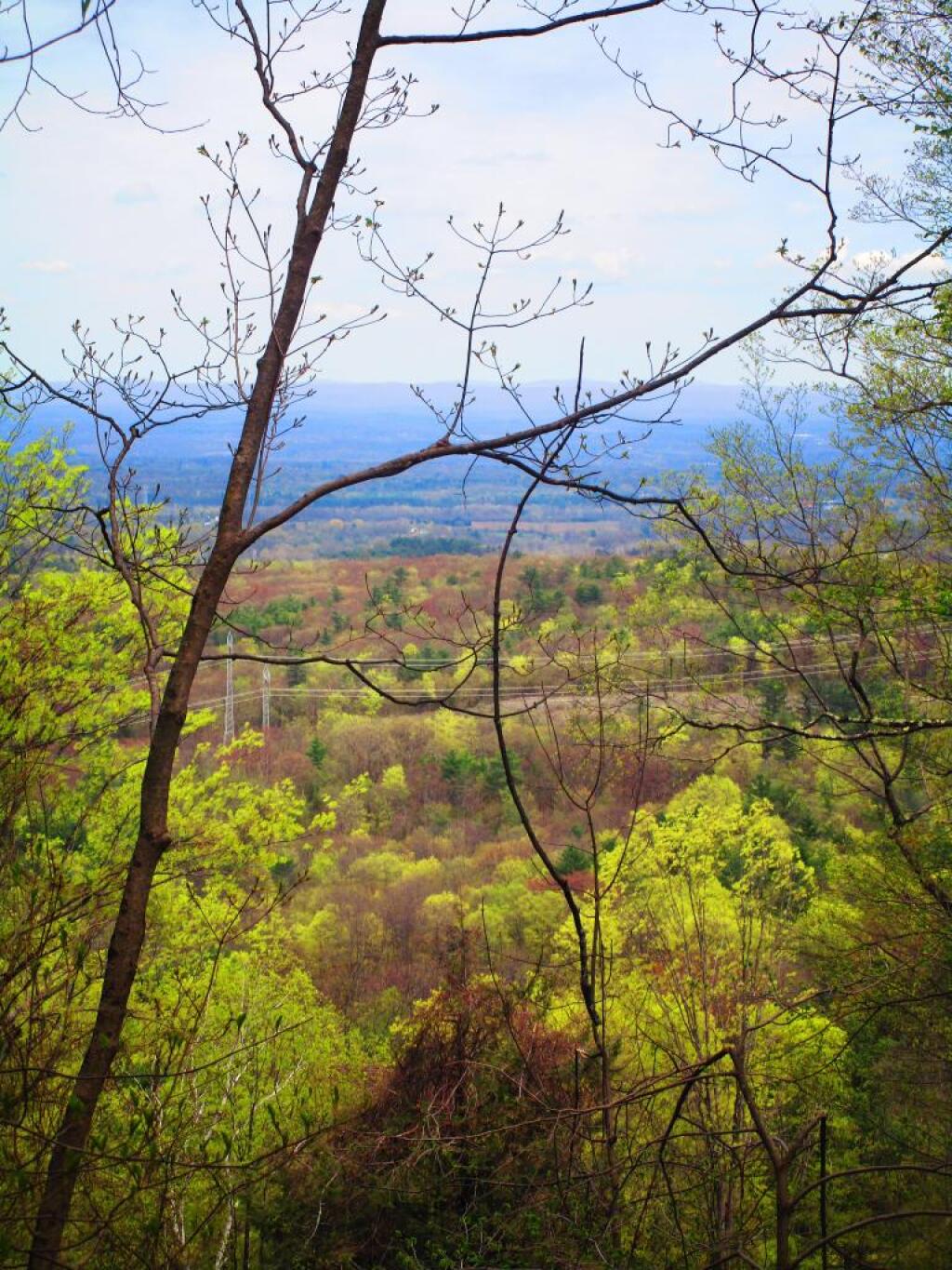 Photo: Greening Up Photo: Greening Up