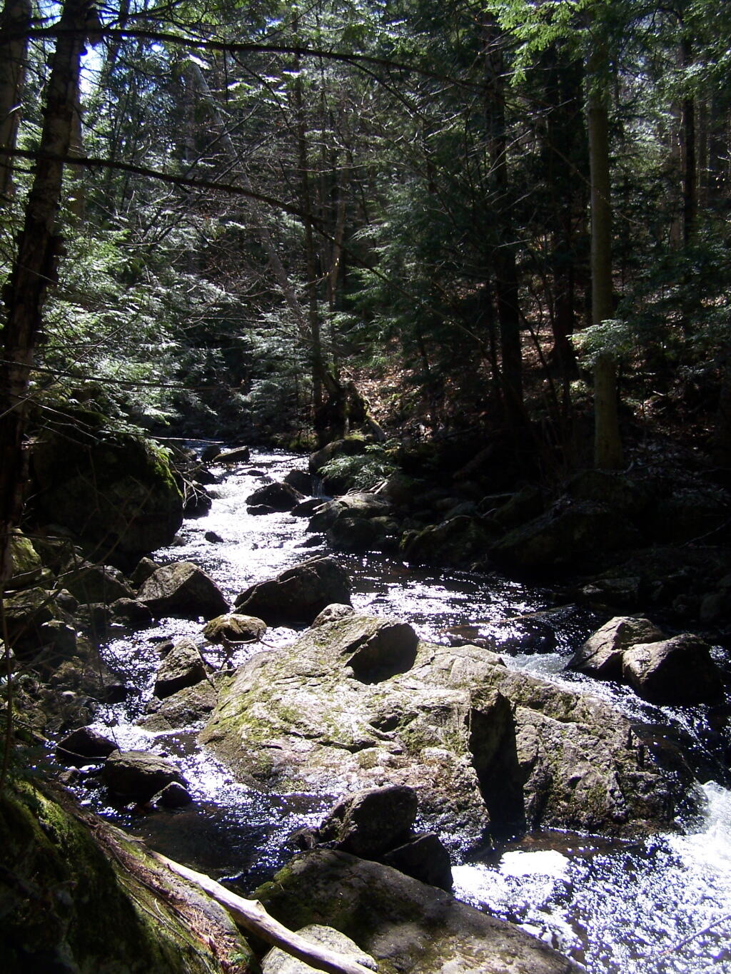 Photo: Outlet of Glidden Marsh