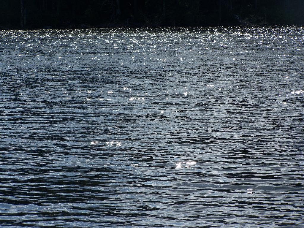 Photo: Glidden Marsh Sparkles