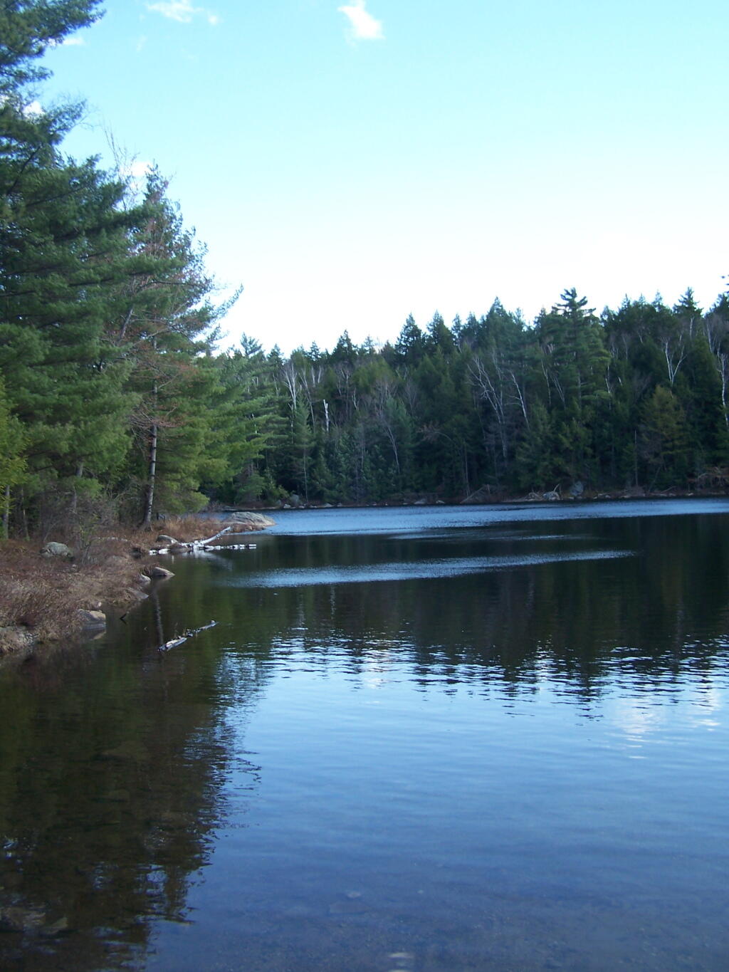 Photo: Crane Pond