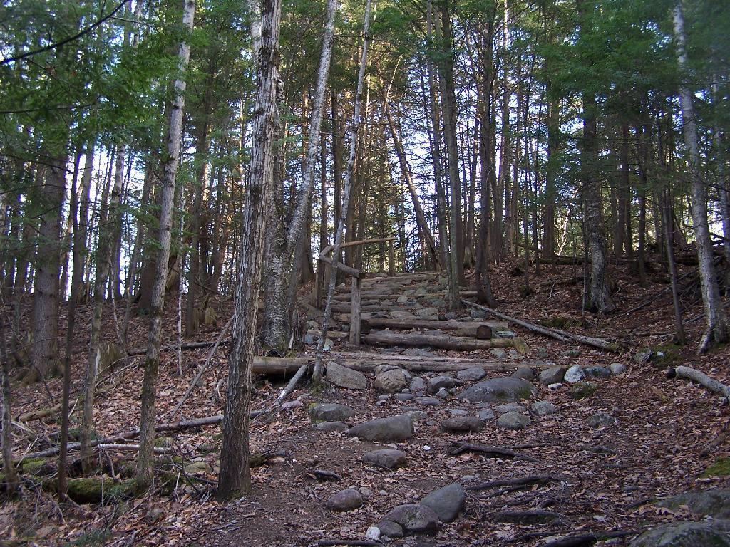 Photo: Steps