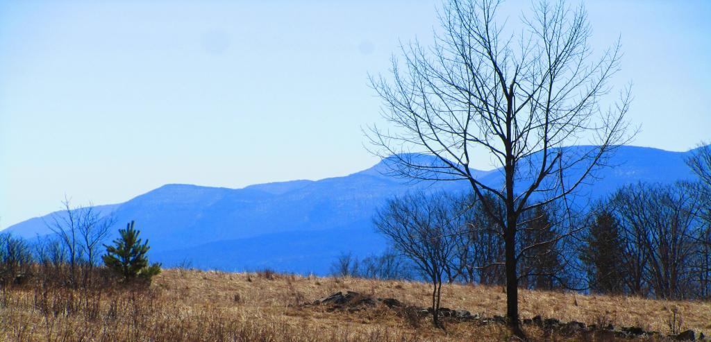 Photo: Fields at Hillcross Parcel
