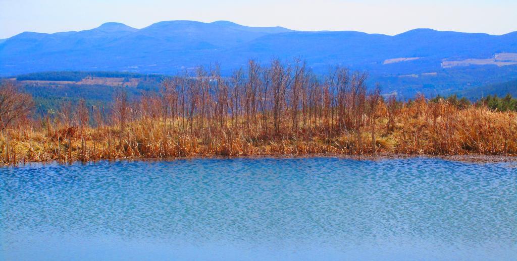Photo: Hillcross Farm Pond