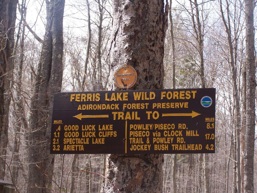 Photo: Trail to Good Luck Lake