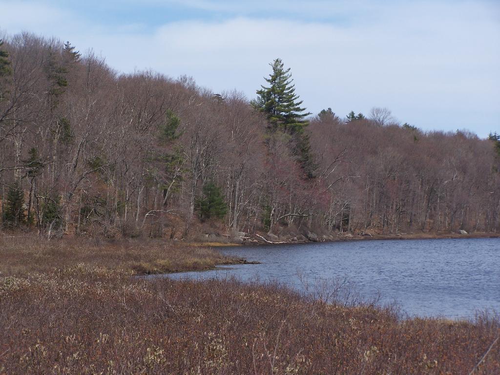 Photo: Good Luck Lake Shoreline