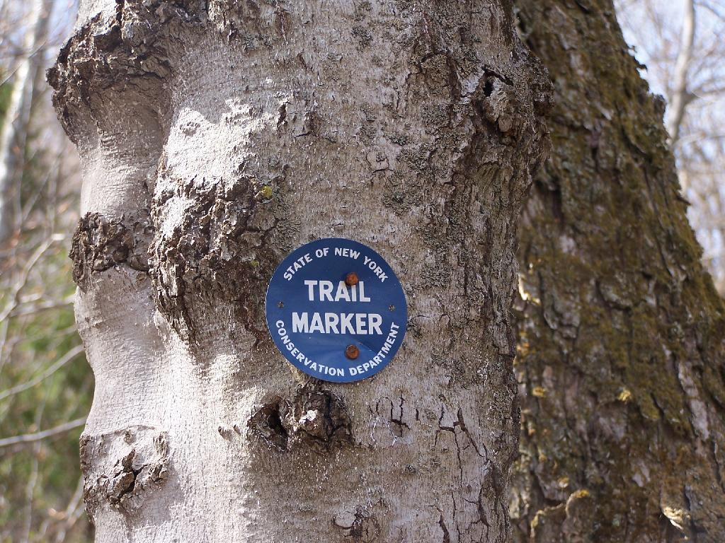 Photo: Old Conservation Department Marker