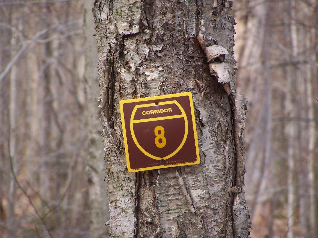 Photo: Snowmobile Corridor Number 8 Photo: Snowmobile Corridor Number 8