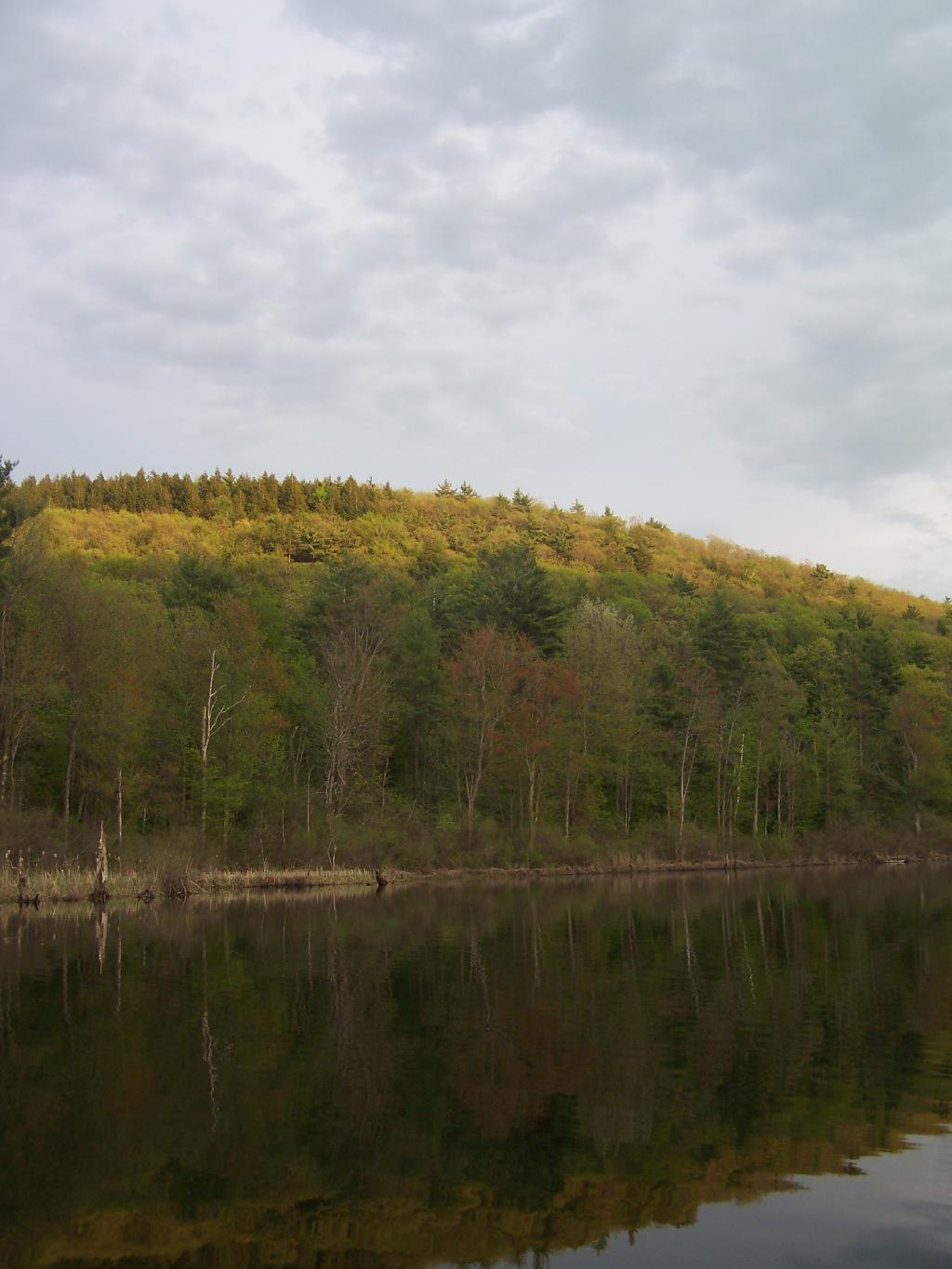 Photo: Springtime