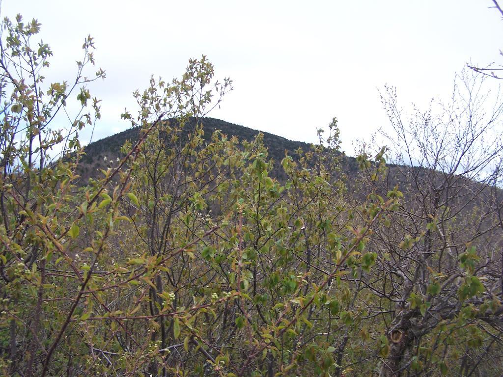 Photo: Thomas Cole from Camel's Hump Photo: Thomas Cole from Camel's Hump