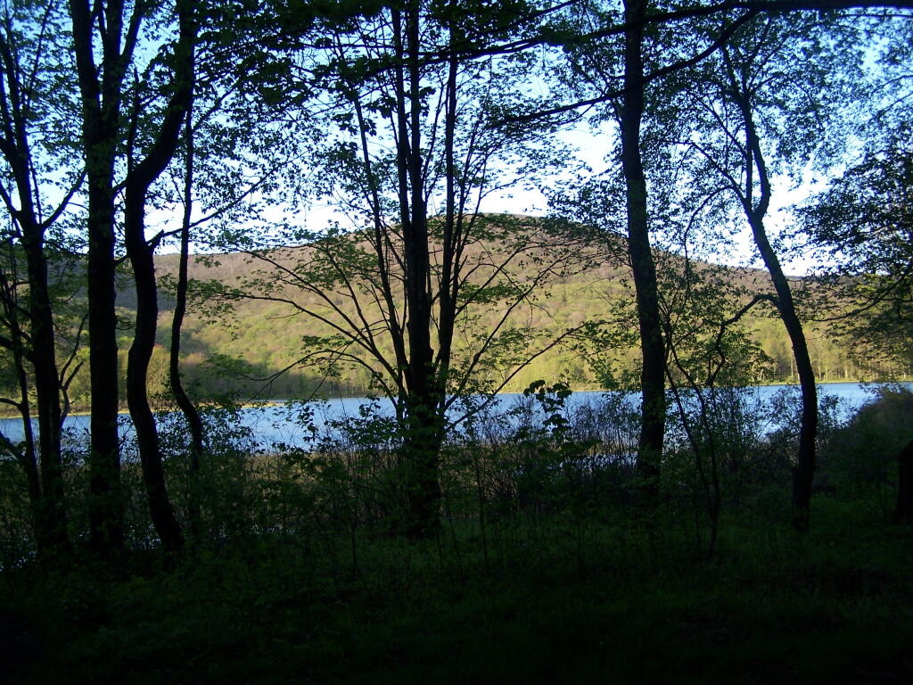 Photo: View from Campsite in Evening