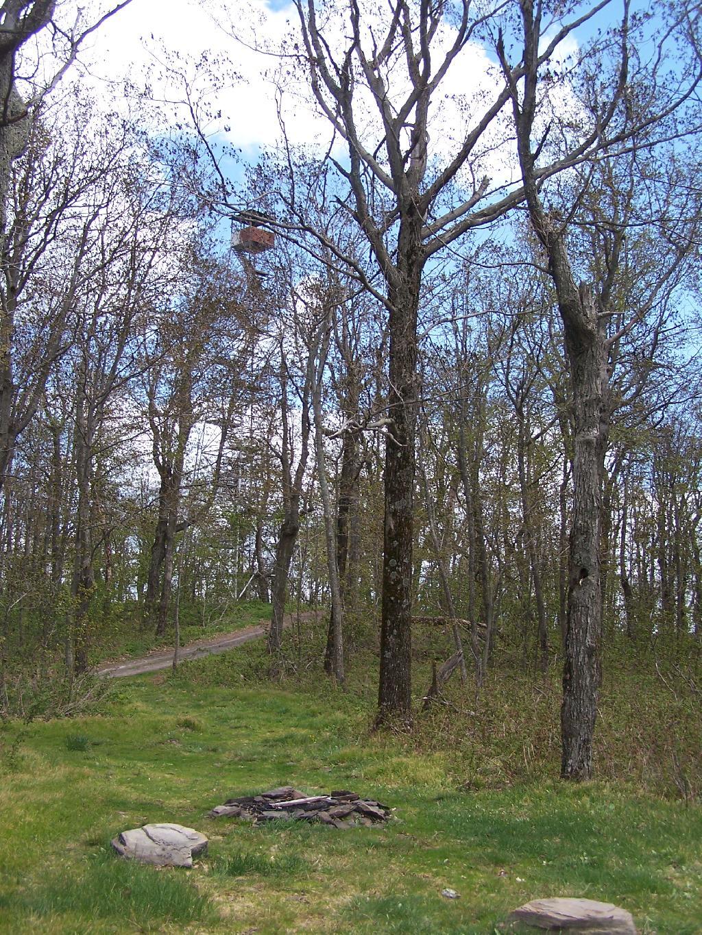 Photo: Campsite