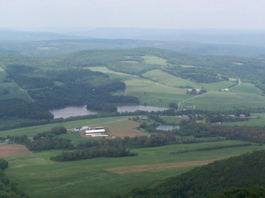 Photo: North