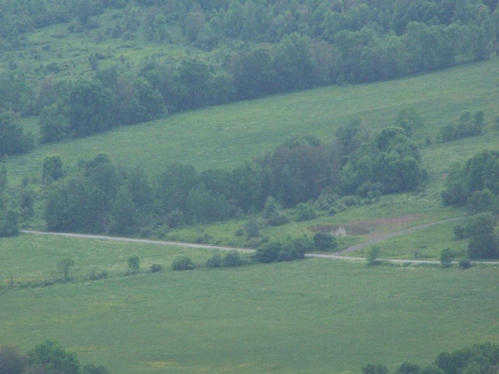 Photo: Tower Mountain Road