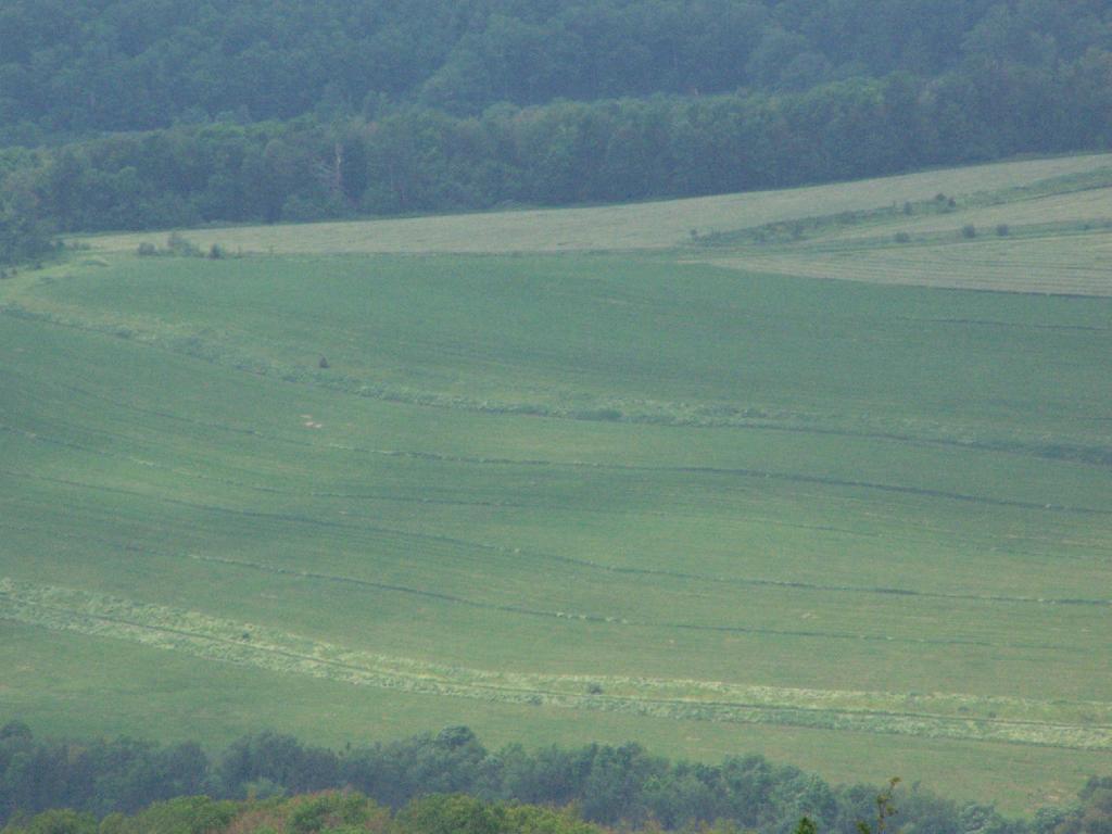Photo: Farm Field