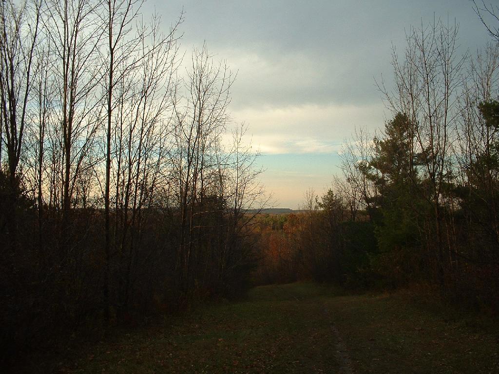 Photo: Sledding Hill Photo: Sledding Hill