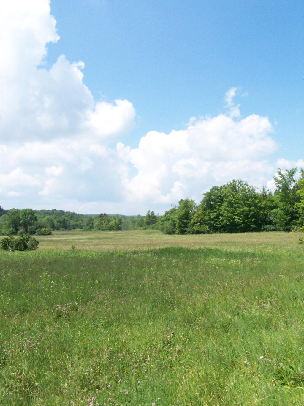 Photo: Hay Field Photo: Hay Field