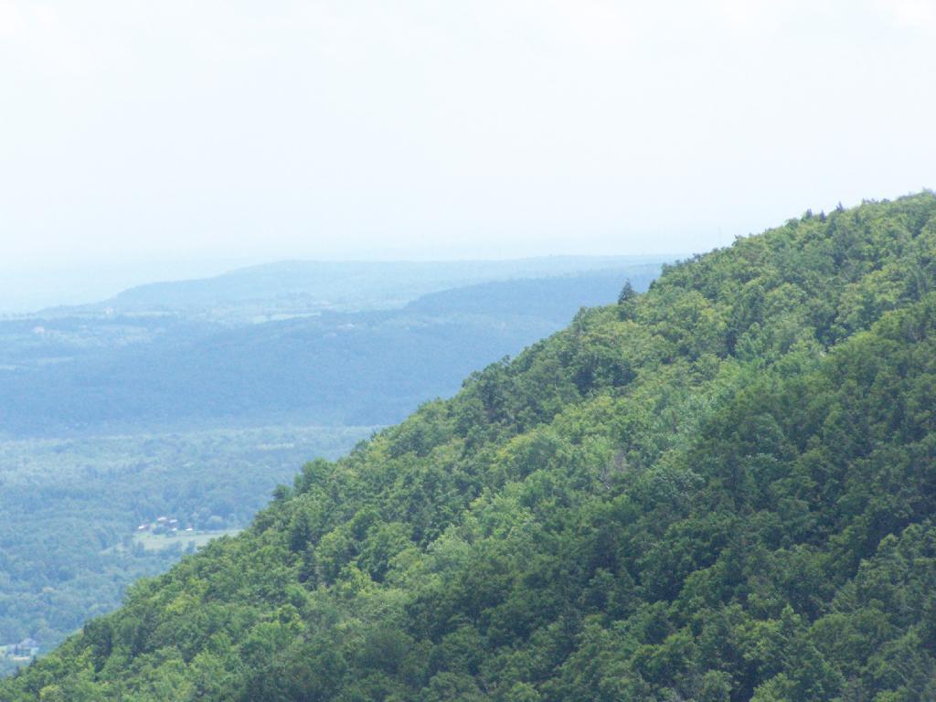 Photo: Edge of Escarpment