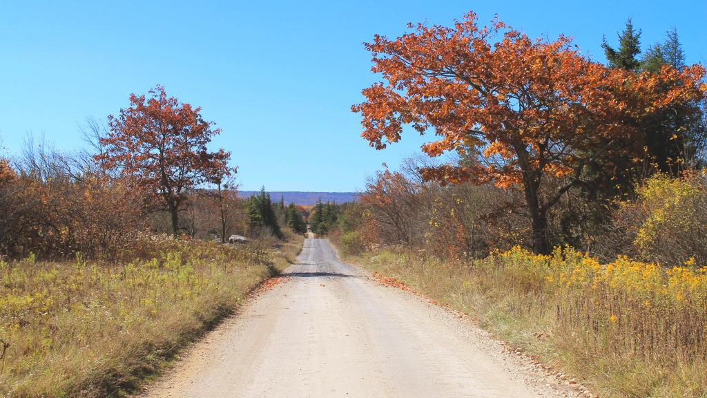 Photo: Dusty Ol' Dolly Sods Road Photo: Dusty Ol' Dolly Sods Road