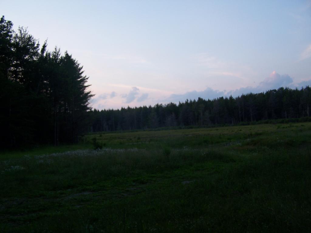 Photo: Duck Pond at Night