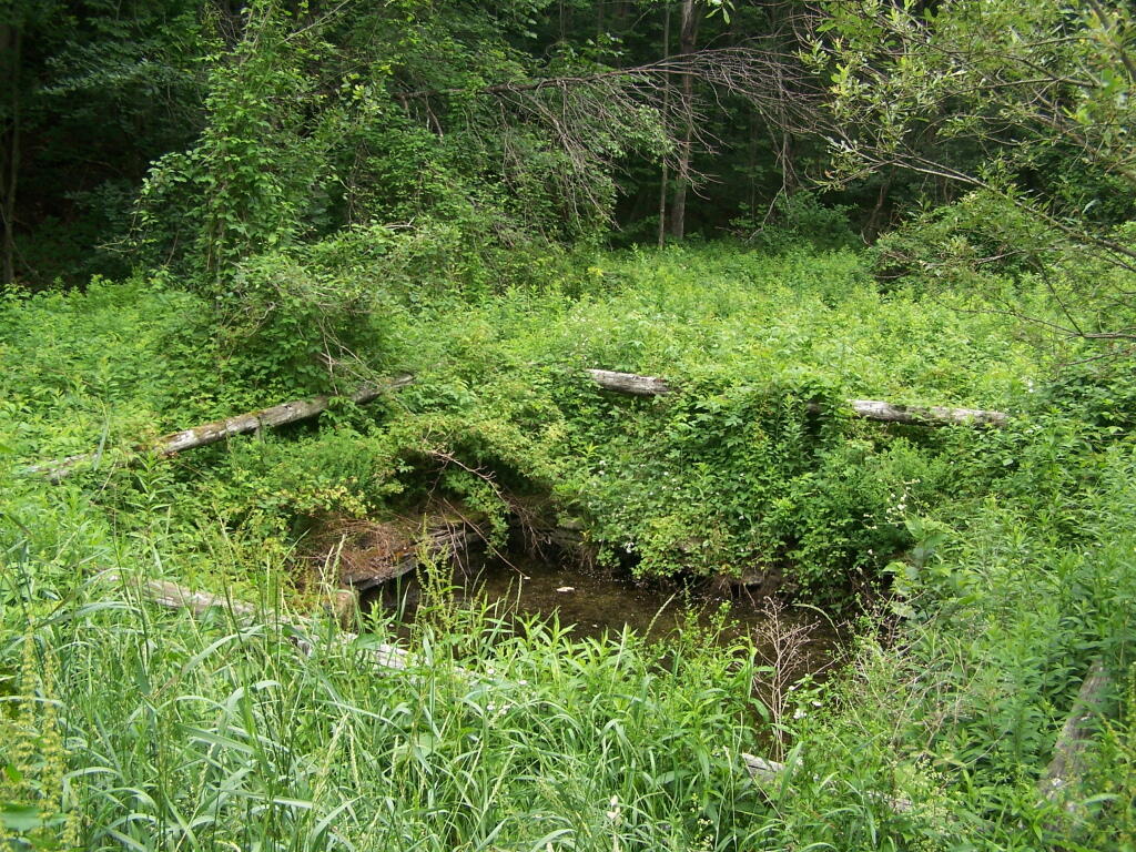 Photo: Dug Waterhole Photo: Dug Waterhole