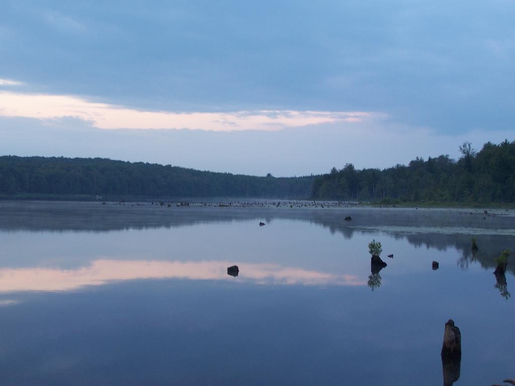 Photo: Earthern Edge of Pond