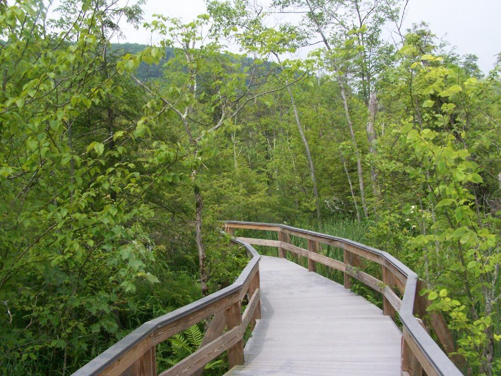 Photo: Along the Board Walk Photo: Along the Board Walk
