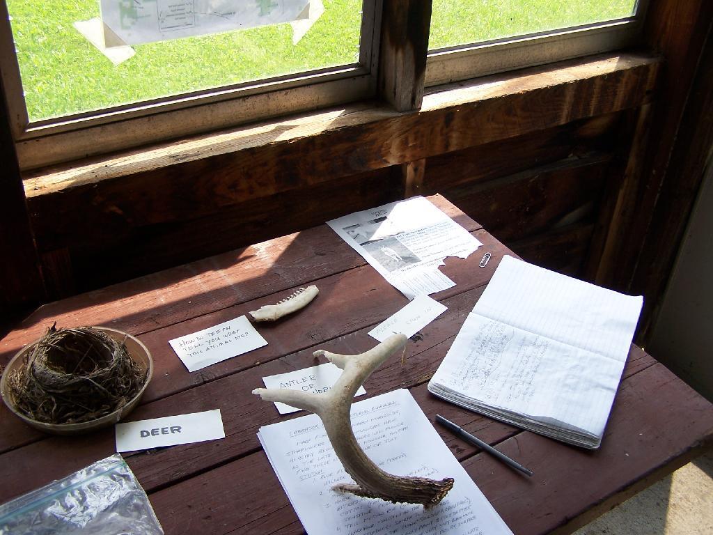 Photo: Inside Forest Fire Observers Station