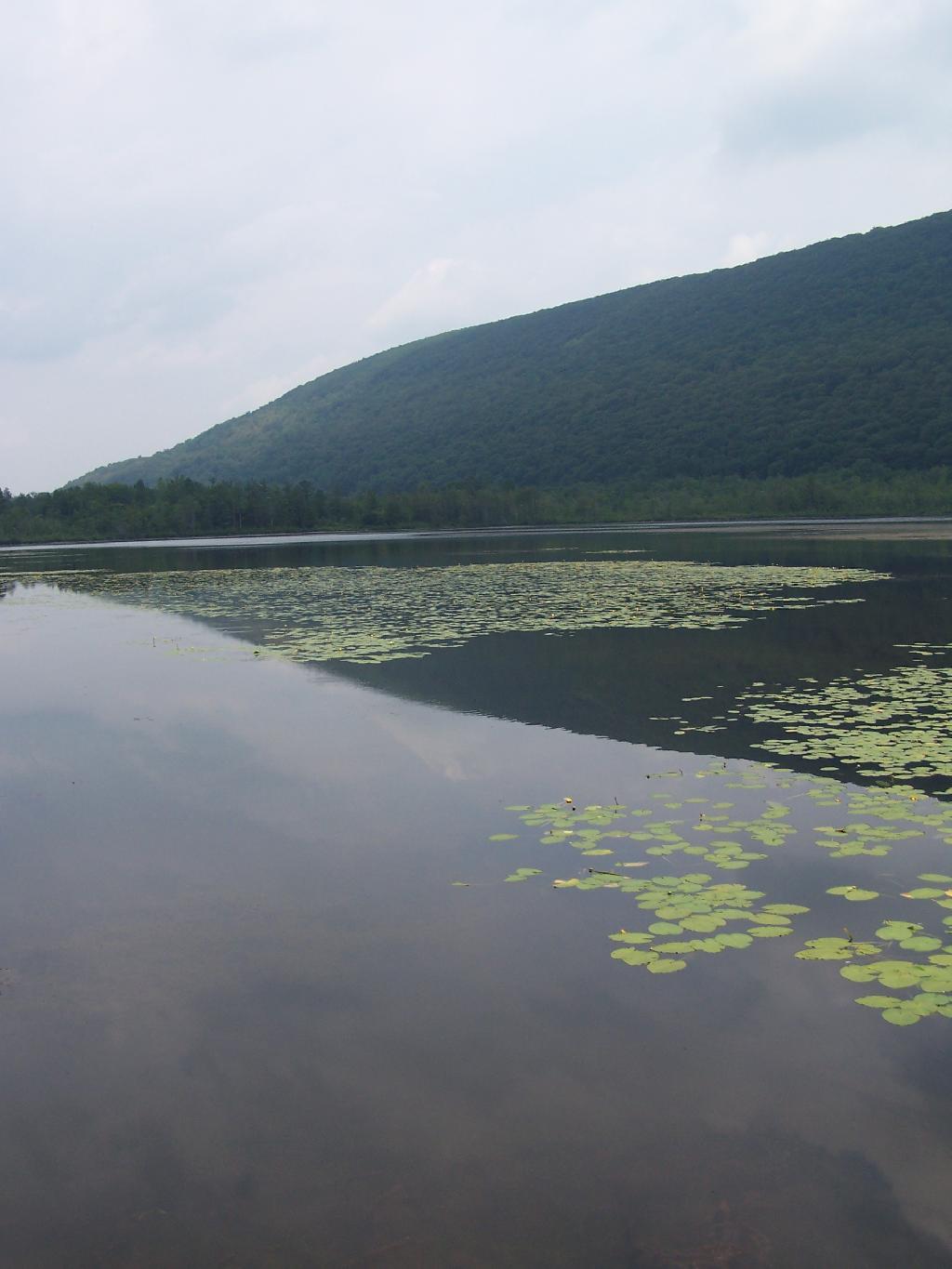 Photo: Reflection to a Point
