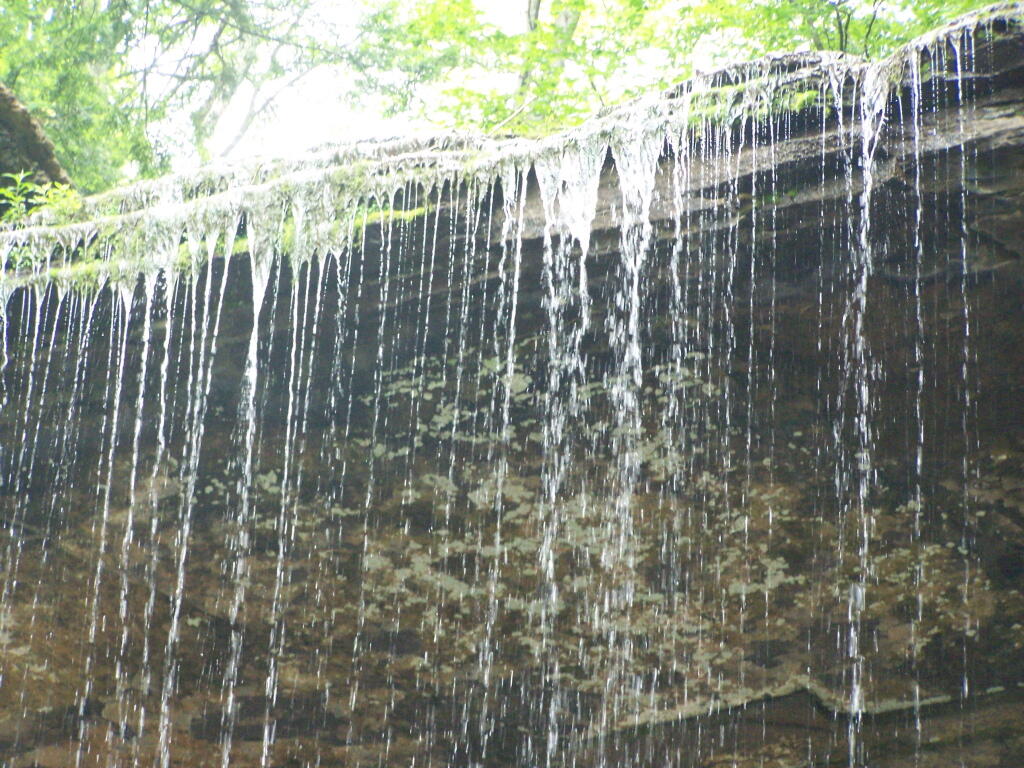 Photo: Falling Water