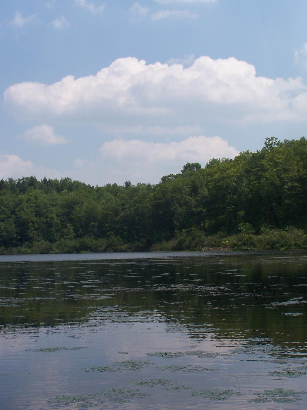 Photo: Beautiful Day Despite the Heat