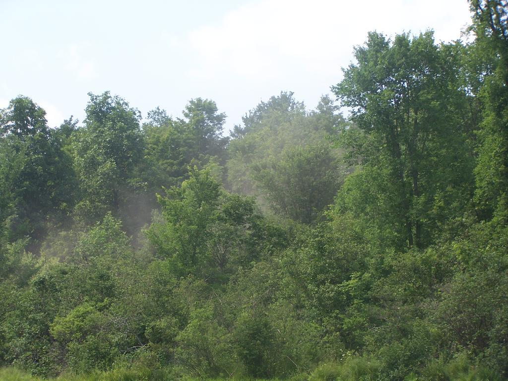 Photo: Pickup Kicks Up Dust on Fawn Lake Road