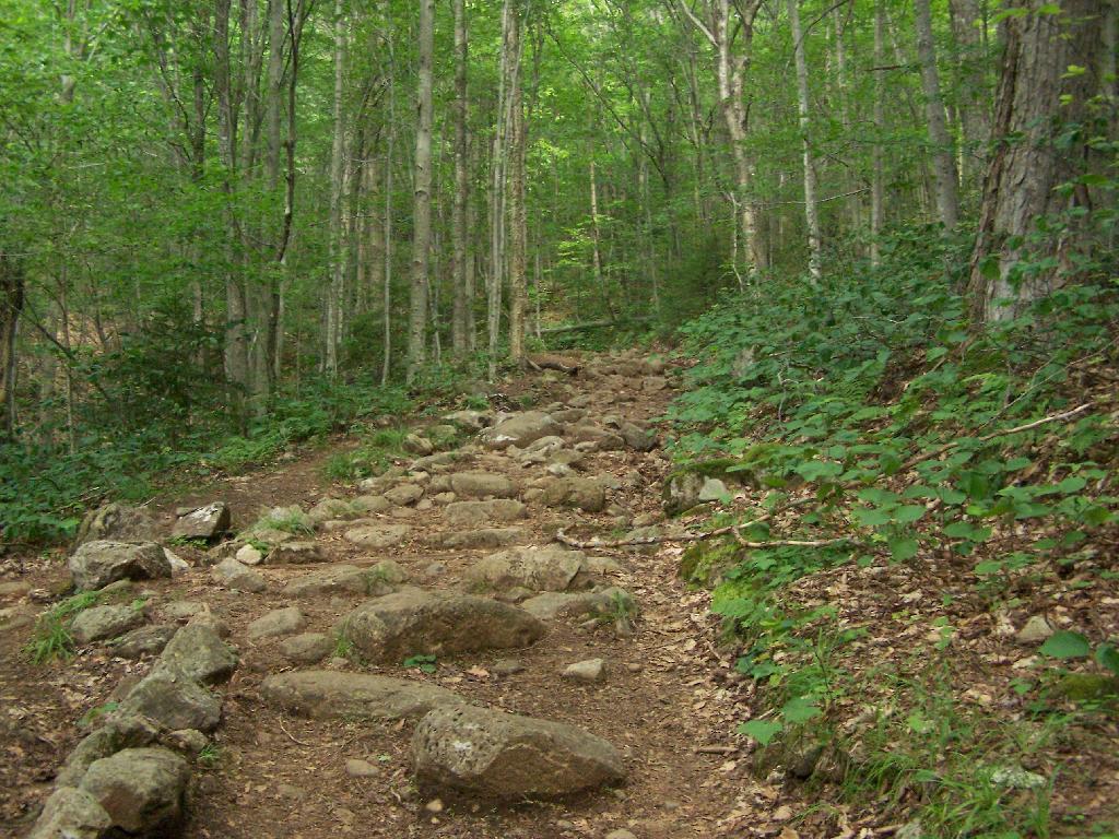 Photo: Rougher Part of the Trail Photo: Rougher Part of the Trail
