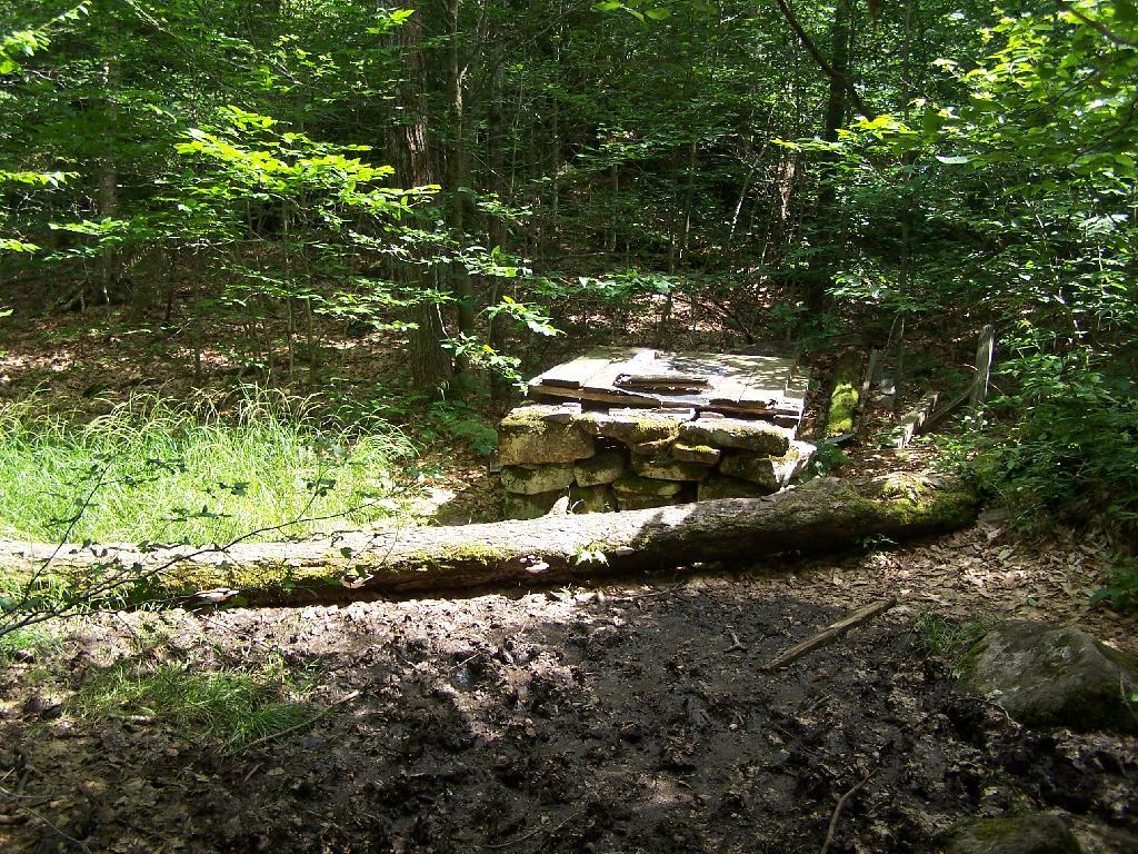 Photo: Old Well Photo: Old Well