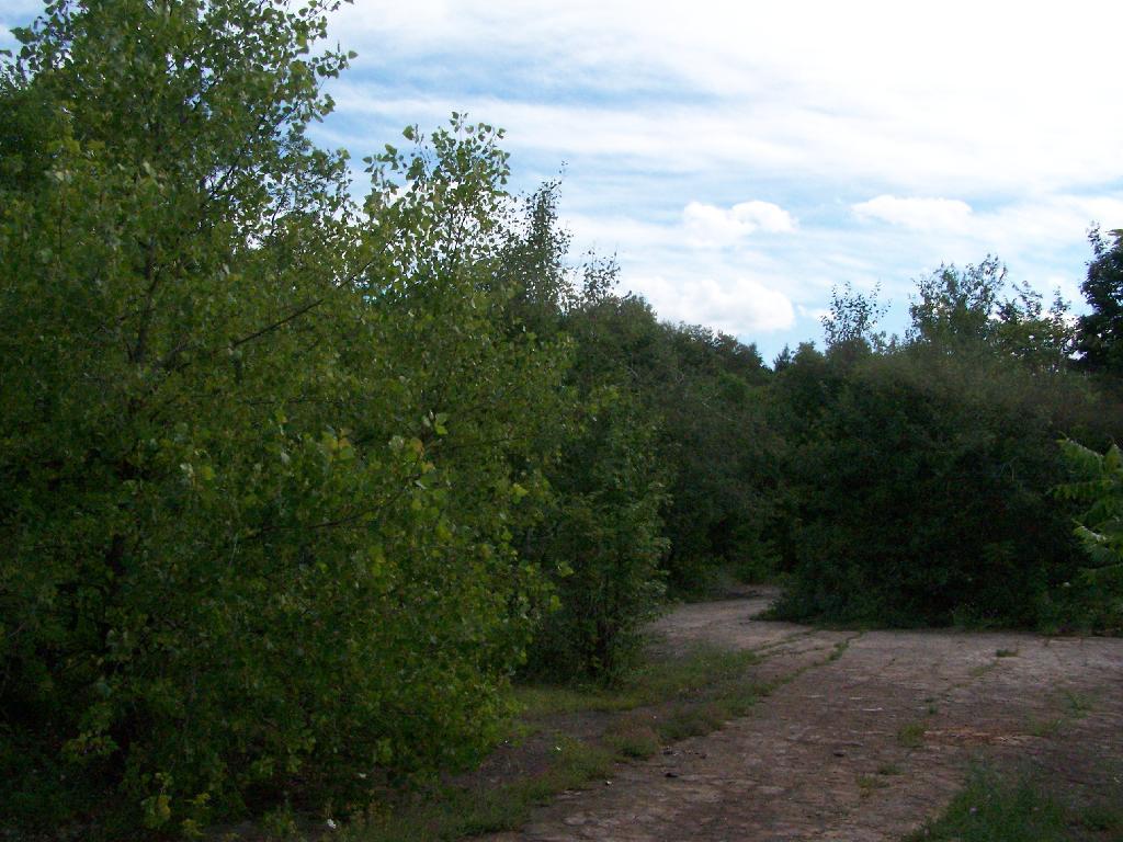 Photo: Blue Stone Mine on Carrick Road
