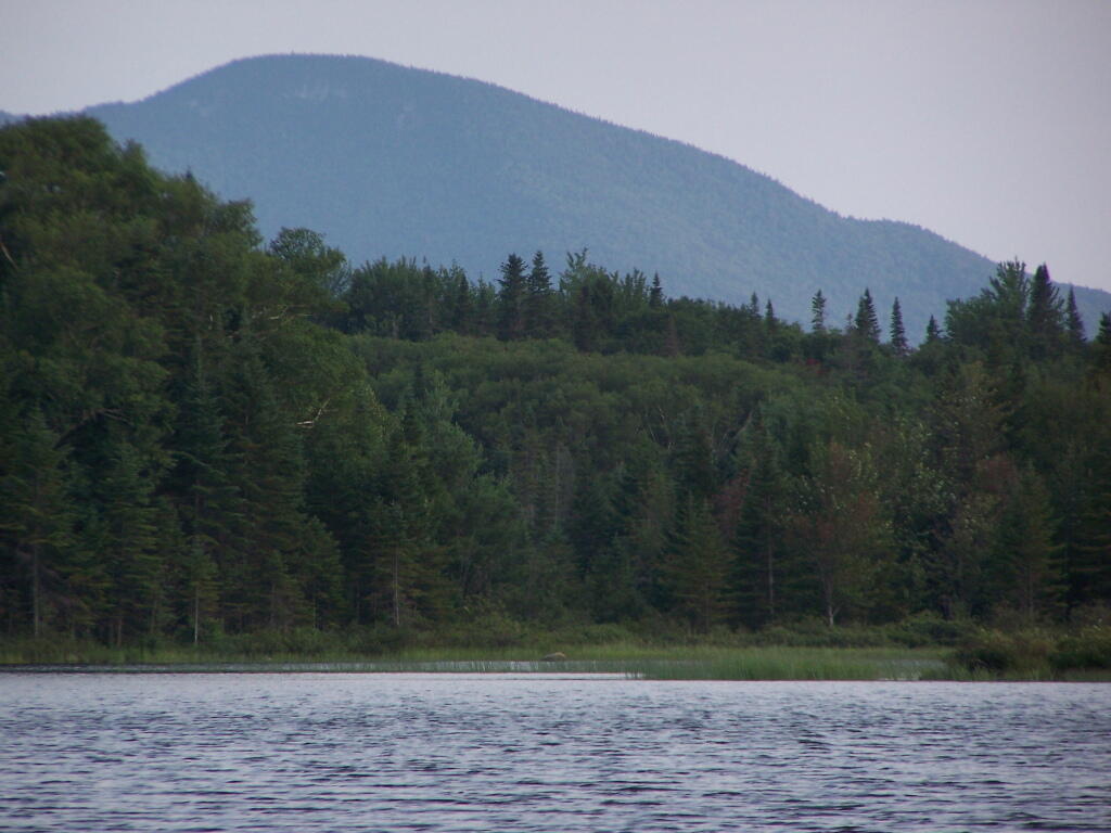 Photo: Buck Mountain
