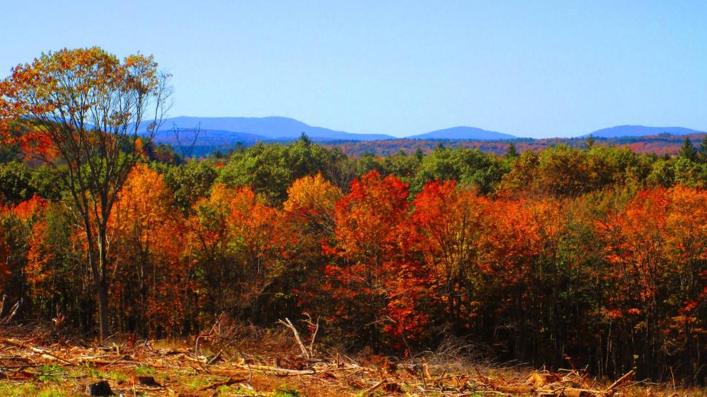 Photo: Northwestern Catskills
